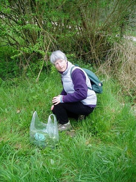 Cueillette avril 2006